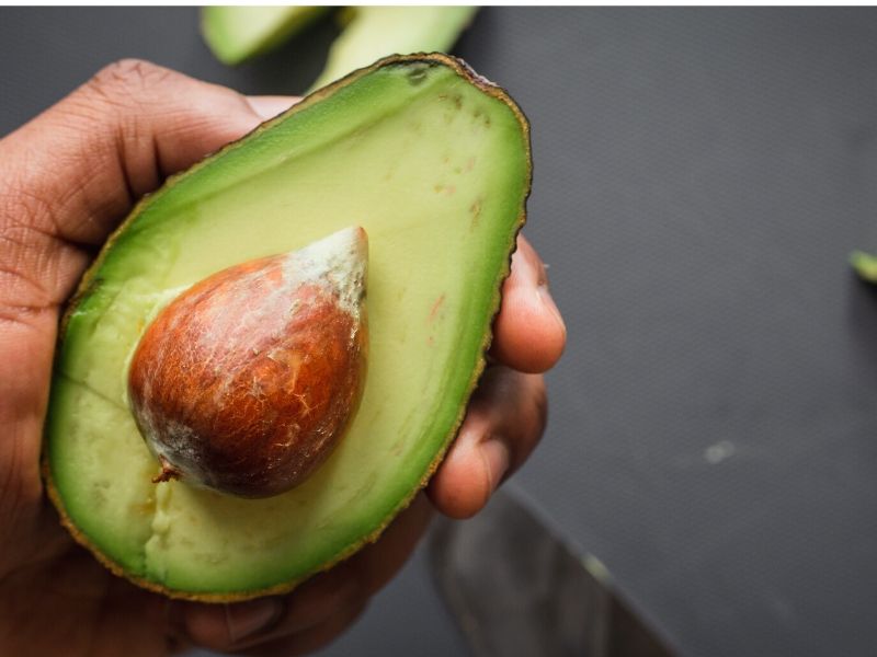 hand holding avocado