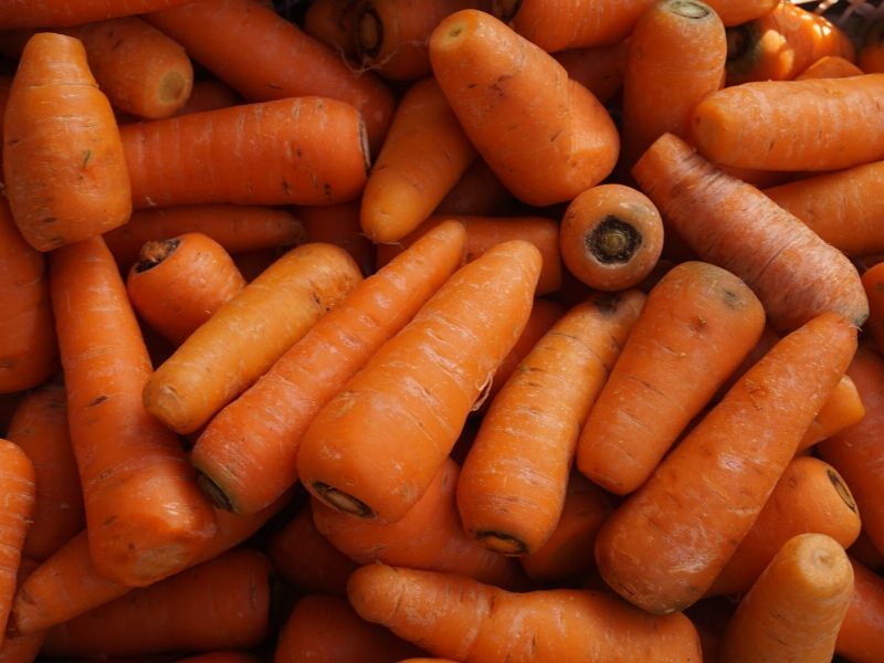 carrots for baby first solid food