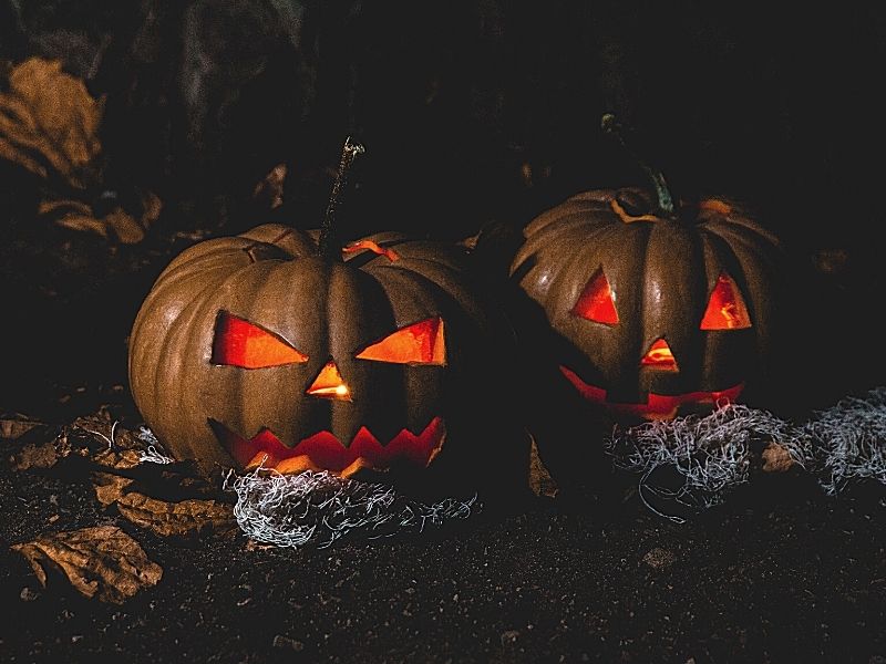 halloween carved pumpkins must watch horror movies