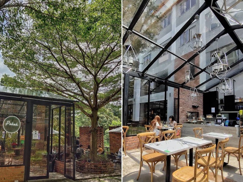 pokok kl mahsa avenue Instagram worthy cafes in KL