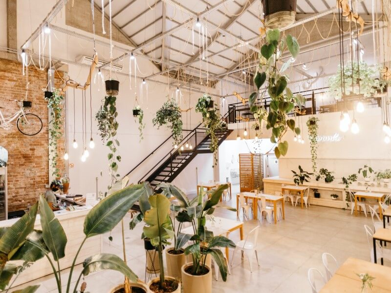 pexels cafe with plants 