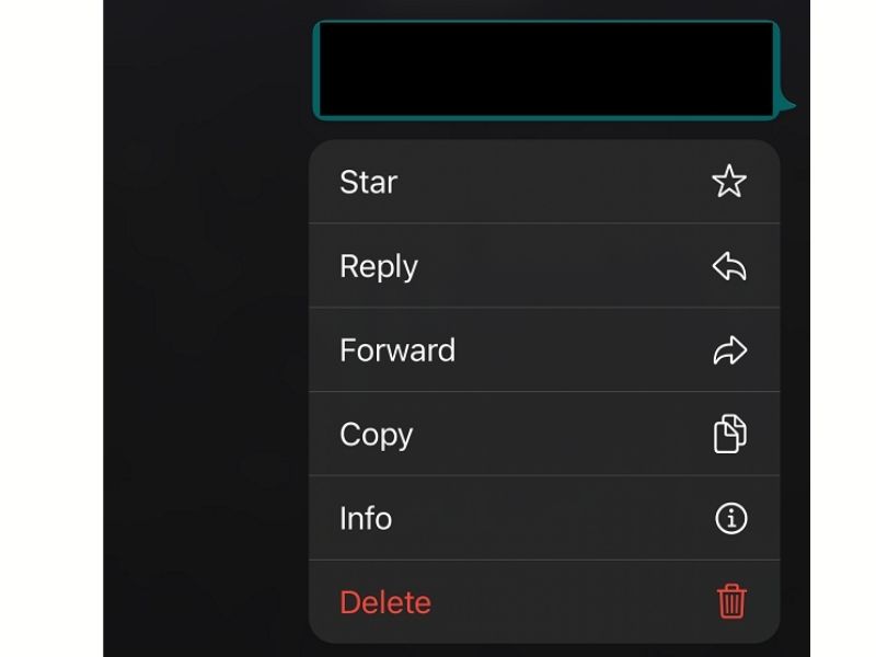 whatsapp text options menu