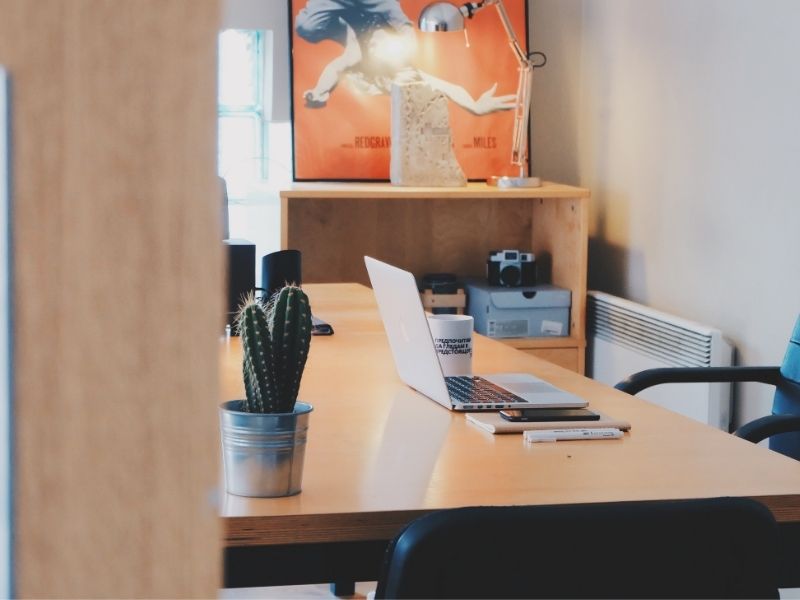 how to take care of cactus well-lit table