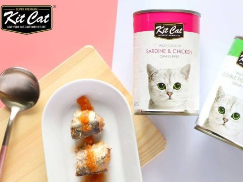 Best Wet Food For Cats 7 Different Types You Should Know