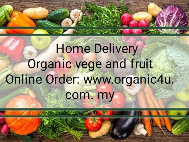 online grocery delivery malaysia organic4u