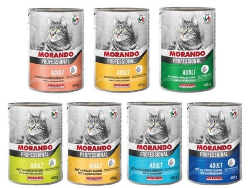 Best Wet Food For Cats 7 Different Types You Should Know