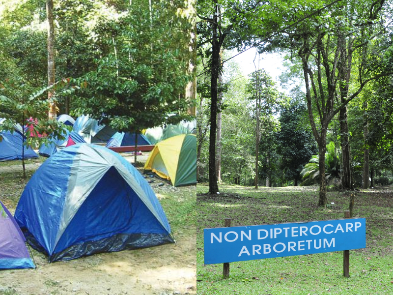 5 Best Campsites In Selangor To Take A Break From The City