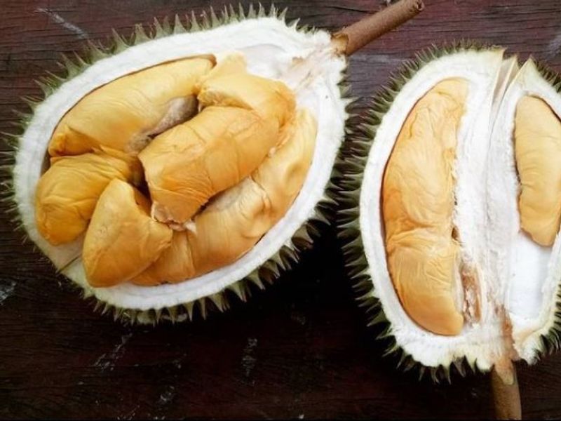 types of durians in malaysia