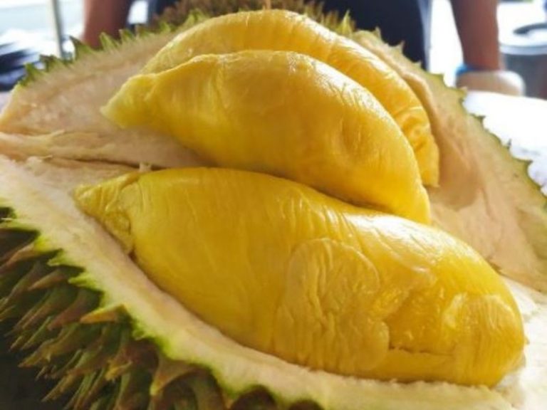 12 Types Of Durians In Malaysia & Tips On Choosing The Best One