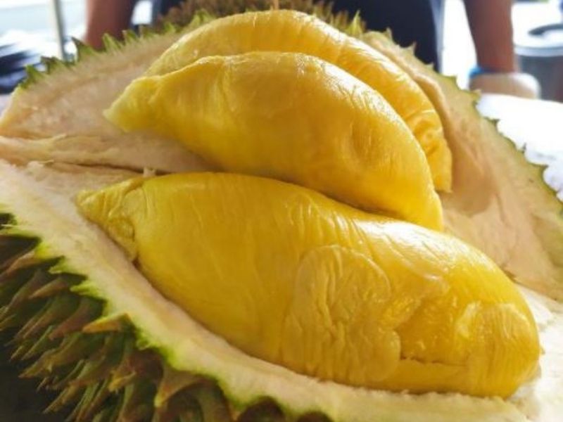 Malaysia Durian Season 2024 - Nelly Yevette