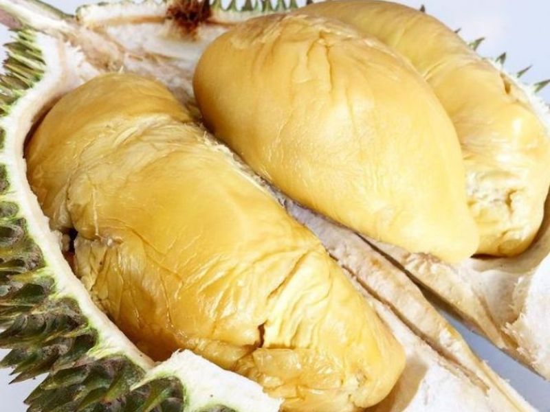 XO durian malaysia