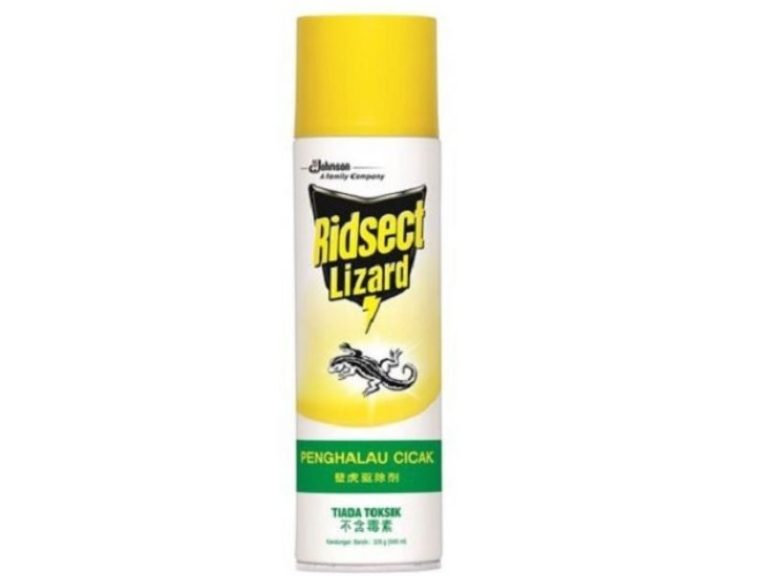 How To Get Rid Of Lizards 8 Easy & Effective Ways That Work