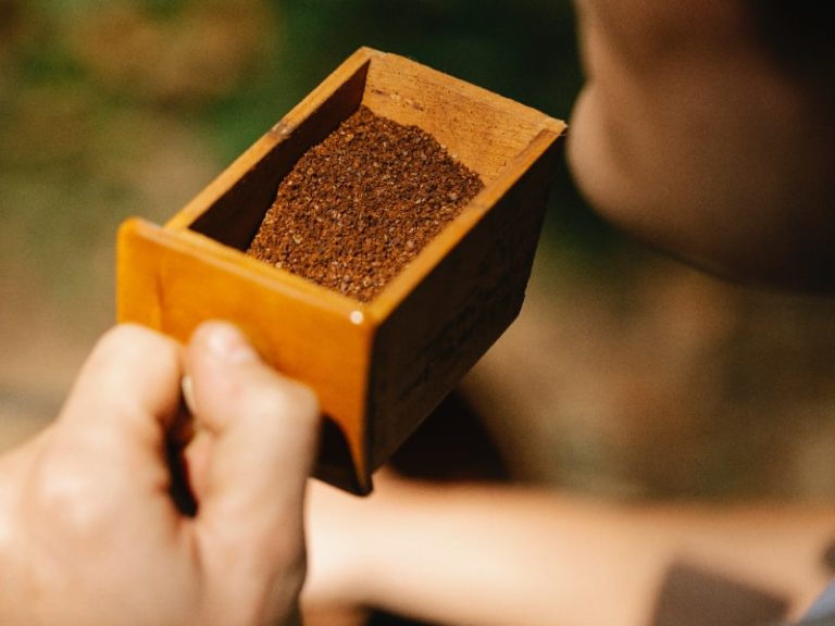 How To Get Rid Of Ants 9 Effective Ways That Really Work