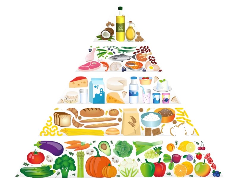 healthy food for kids, food pyramid