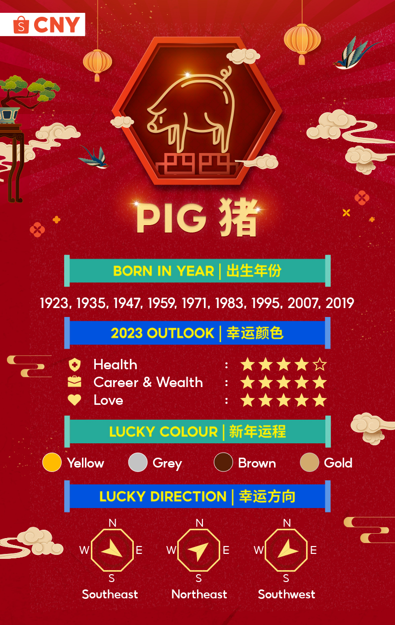 Pig Zodiac 2023 Predictions And Lucky Elements