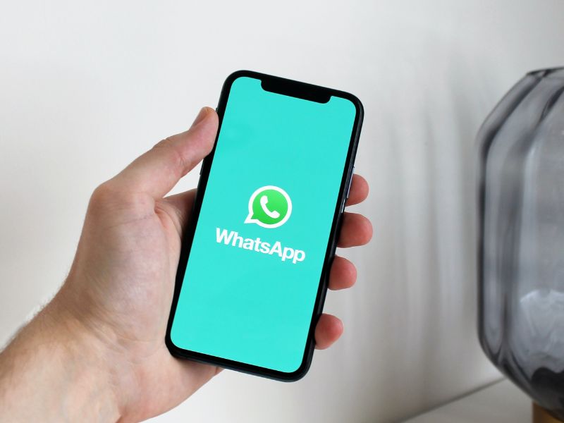 a person holding a phone that shows the WhatsApp logo how to Transfer WhatsApp chat from android to iphone