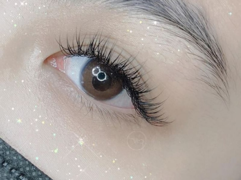 Ellipse eyelash extensions get their name from the elliptical shape of the extension's base. 