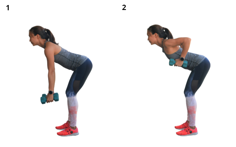 weighted rows exercise for pregnant women Malaysia