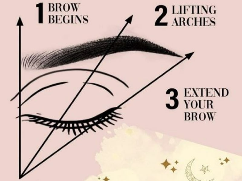 types of eyebrows