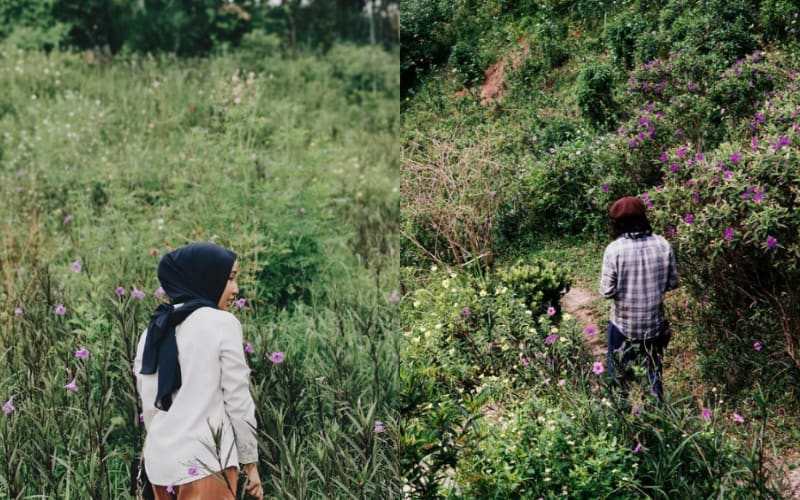 Urban farm KL