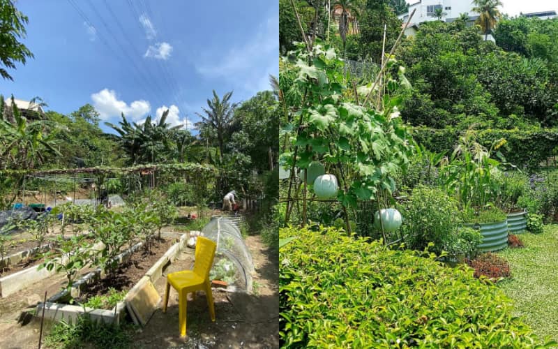 Urban farm Kebun-Kebun Bangsar