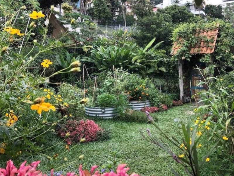 kebun kebun bangsar 