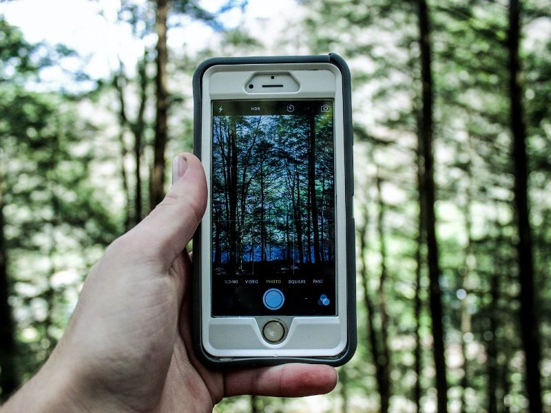 A hand holding up a smartphone