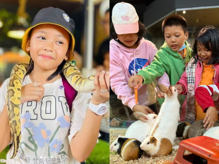 7 Best Petting Zoos In KL & Selangor For AnimalLoving Kids