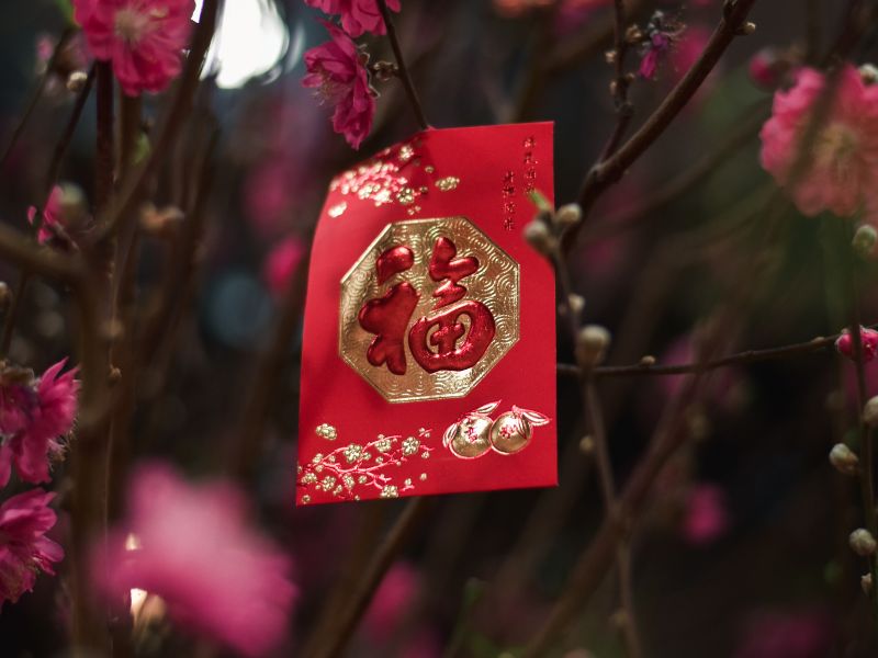 A red packet among some plants