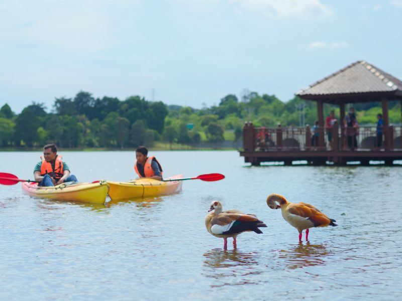 People kayaking in a lake things to do in putrajaya