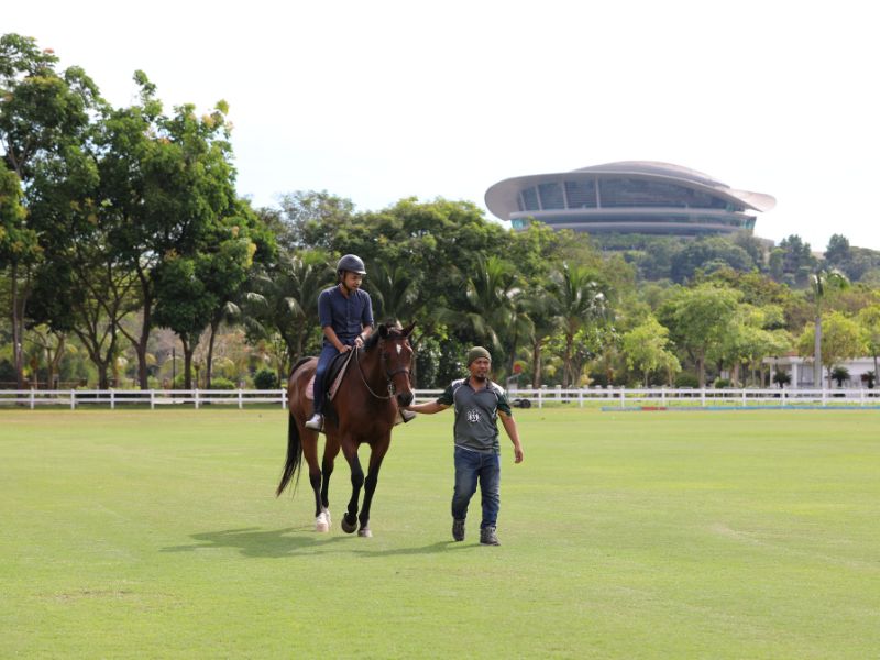 Horse riding