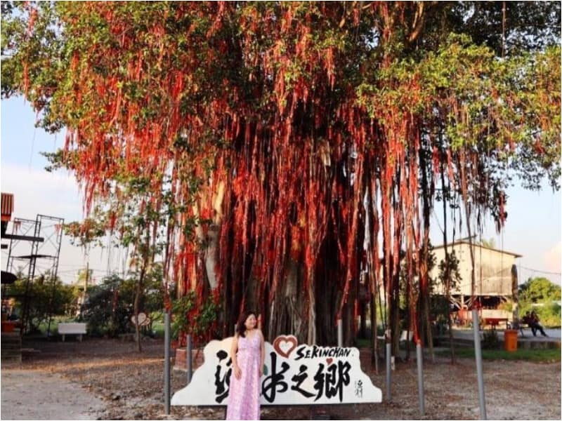 wishing tree sekinchan