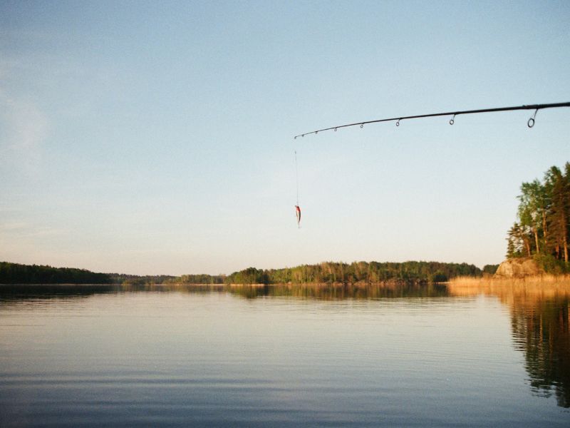 a fishing rod with a caught fish father’s day celebration ideas