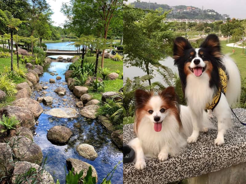 Desa park store city dog park