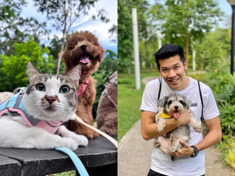 Origami Park best pet friendly park KL