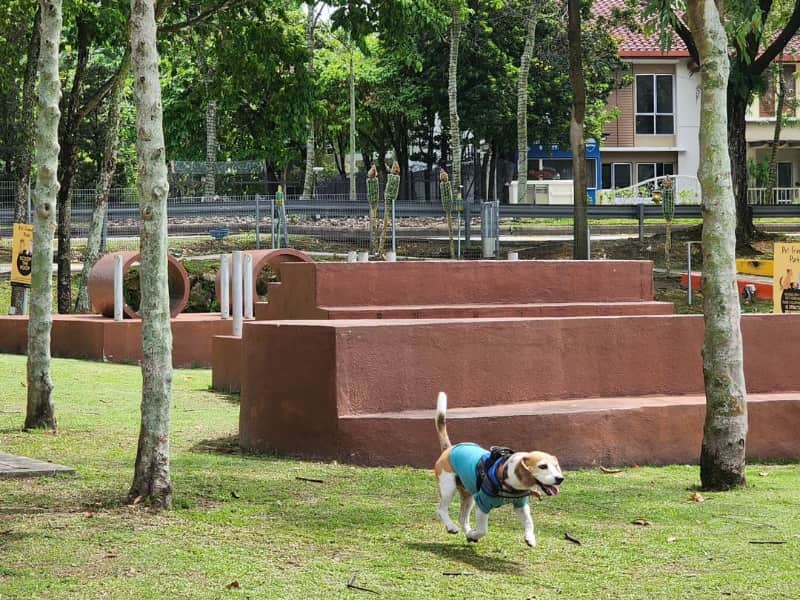 Pet Pavilion Setia Eco Park best pet friendly park PJ