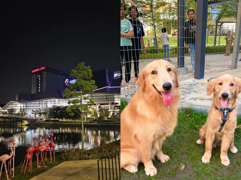 Twentyfive7 best pet friendly park PJ