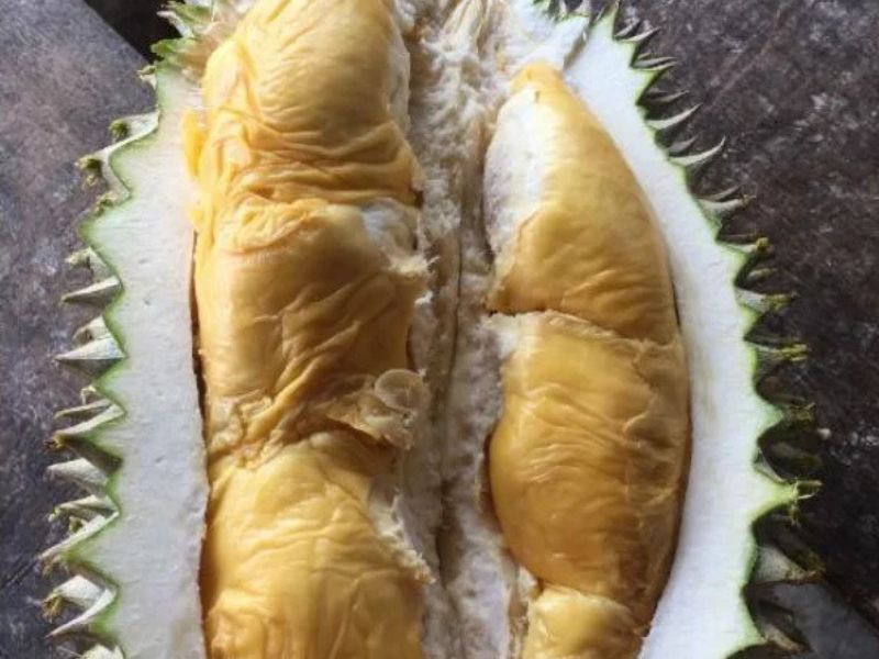 hor lor types of durians in Malaysia