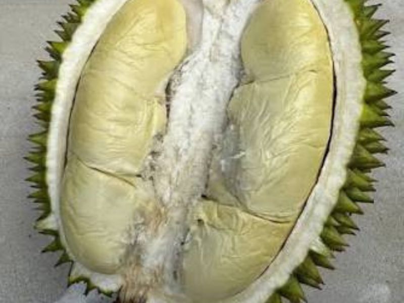 kacang hijau types of durians in Malaysia