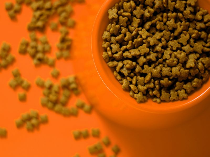 a bowl full of pet food best dog cat food brands malaysia