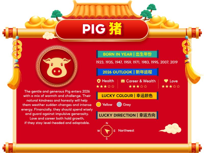 Pig chinese zodiac horoscope 2026
