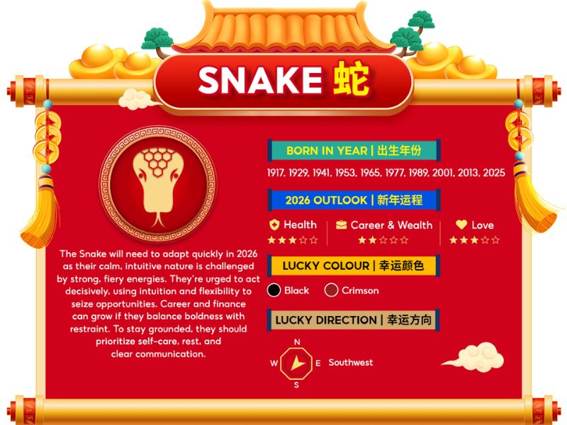 Snake chinese zodiac horoscope 2026